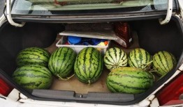 抱着瓜吃图像,品味夏日里的悠闲时光