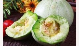 甜瓜脆瓜怎么吃,解锁夏日清新美味