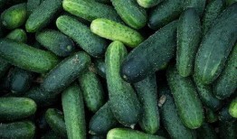 吃瓜系统1,网络热议背后的真相与启示