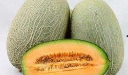 吃哈密瓜滋阴吗怎么吃,这样吃最有效！