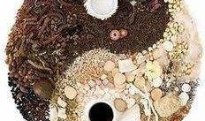 玄学大师算命吃瓜,揭秘命运之谜与人间百态