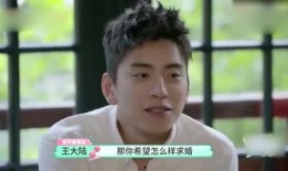 吃瓜王大陆,揭秘娱乐圈幕后真相