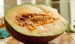 吃哈密瓜会醉,揭秘甜蜜果实中的微醺之谜