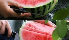 杭州吃瓜的视频,一网打尽本地美食风情