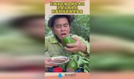 吃瓜大叔不吃瓜,探寻背后的故事与真相