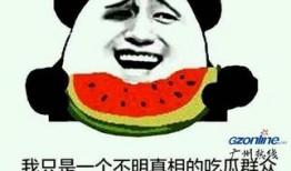 无瓜吃瓜是什么意思,揭秘网络流行语的趣味与内涵