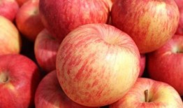 月子给可以吃瓜,这些瓜类食物可以放心享用