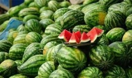 他吃瓜一,他吃瓜一生的传奇故事