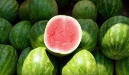 吃瓜了的图片,吃瓜群众视角下的娱乐圈风云