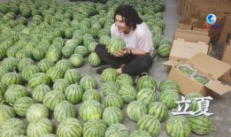 上外吃瓜,揭秘校园热点事件背后的真相