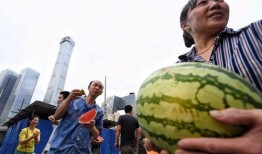 朝阳吃瓜社区,揭秘都市生活里的八卦盛宴