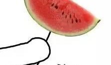 17个吃瓜图片,娱乐圈吃瓜大事件，真相与笑料齐飞