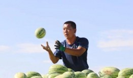 反差风吃瓜,揭秘娱乐圈的“冰火两重天”