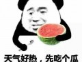吃瓜蒋怂怂,揭秘娱乐圈背后的故事