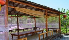 岗墩凉亭吃瓜,畅享清凉时光