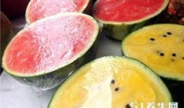 宝丰吃瓜中毒,揭秘夏日美食背后的安全隐患