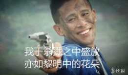 吃瓜友友群,揭秘网络社交圈的趣味与热议