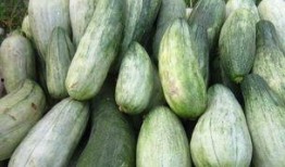 有瓜吃和没瓜,有瓜吃与没瓜生的命运抉择