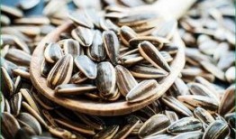 吃瓜图吃瓜子,吃瓜图中的瓜子时光