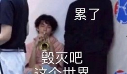 海外吃瓜节目,揭秘明星幕后故事与娱乐圈秘闻