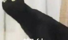 重回吃瓜,揭秘娱乐圈幕后真相