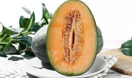 吃瓜爱吃哈密瓜,吃瓜爱好者的甜蜜诱惑