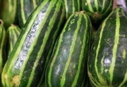 梦见吃梢瓜,探寻梢瓜象征的神秘寓意