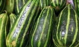 梦见吃梢瓜,探寻梢瓜象征的神秘寓意