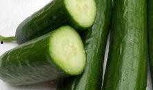绿瓜可以吃吗,揭秘其可食用之谜
