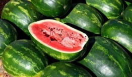 小众吃瓜视频素材,跟随视频素材探寻独特趣味