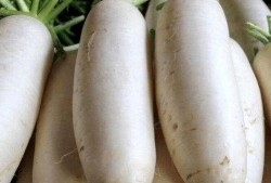 吃瓜大白温颜后续,揭秘娱乐圈背后的情感纠葛