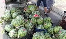 庄河直播吃瓜事件,揭秘网络直播背后的争议与反思