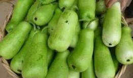 葫芦瓜表皮吃有毒吗,葫芦瓜表皮食用安全解析