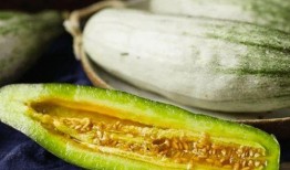 湿热可以吃葫芦瓜吗,湿热体质人群适宜食用葫芦瓜