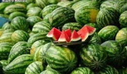 看瓜吃瓜的孙答应