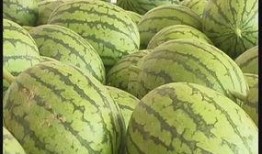 吃瓜观察线,揭秘娱乐圈幕后真相