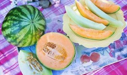 梦见别人给别人瓜吃,瓜分喜悦，共享人间的美好寓意