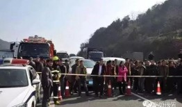 吃瓜群众路上,吃瓜群众路上的奇闻轶事