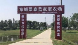 吃界首的瓜,探寻吃界首的瓜香传奇