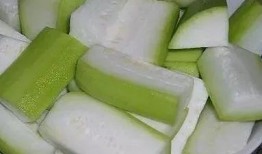 虫子吃瓠瓜,自然界的和谐共生与生态平衡