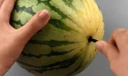 带你吃瓜筷子图片,探寻“带你吃瓜”筷子背后的趣味与匠心