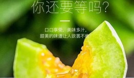 网红吃瓜 合集,盘点那些爆笑、惊悚、感人的瞬间