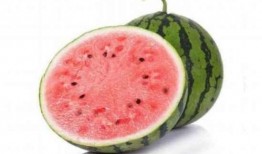 为什么吃瓜不停,揭秘“吃瓜不停”背后的心理奥秘与社交现象