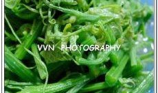 海沙密瓜怎么吃