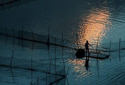 吃瓜听雨看风景,悠然赏景度时光