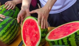 武汉高校产子吃瓜,校园“瓜田”里的育儿新观察