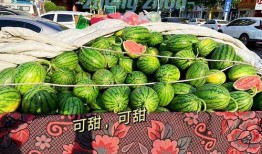 郑州工商吃瓜,吃瓜群众见证的权力监督大戏