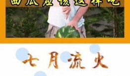 吃瓜吃的很认真,深度解析吃瓜群众的专注与热情