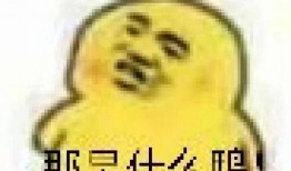 吃瓜表情包画,趣味横生的网络文化现象