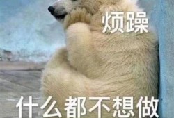吃瓜群众问候图片,一张吃瓜群众问候图片引发的欢乐风暴